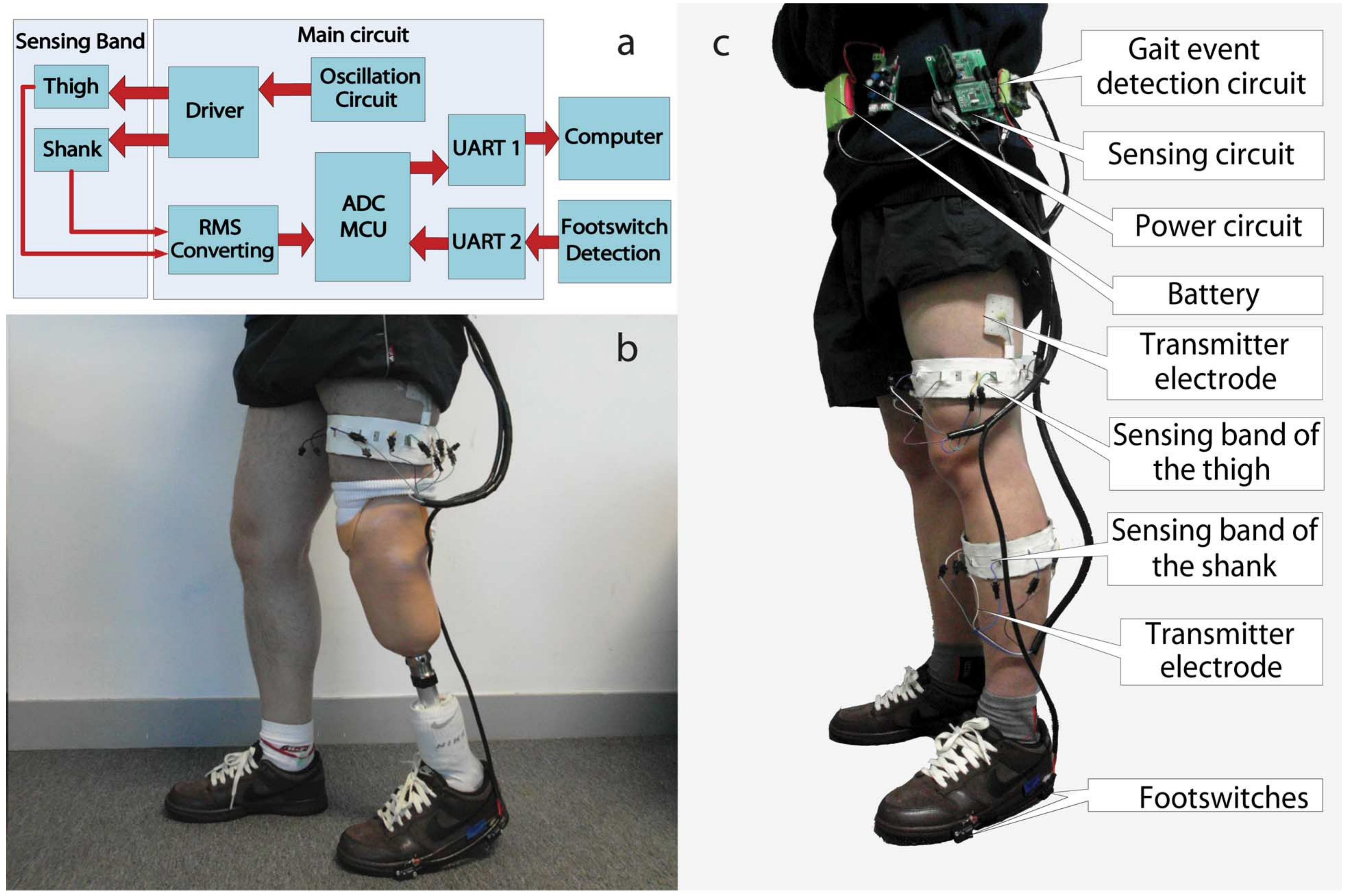 Measurement-system diagram and photographs of capacitive sensing bands worn by a participant with transtibial amputation and an able-bodied participant.
