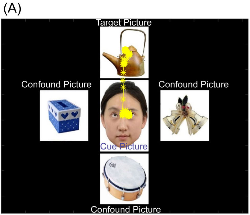 Visual-orienting task with a central gaze cue, four surrounding object pictures, and a yellow recorded gaze path from the cue to the target.